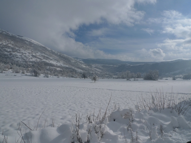 Oročeno vrijeme obraćenja / III. korzmena nedjelja C